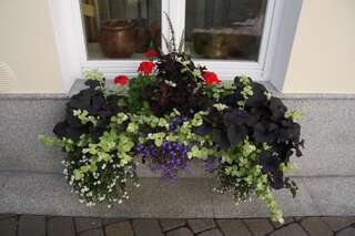 Апартаменты Bell Tower Apartments Вильнюс-2